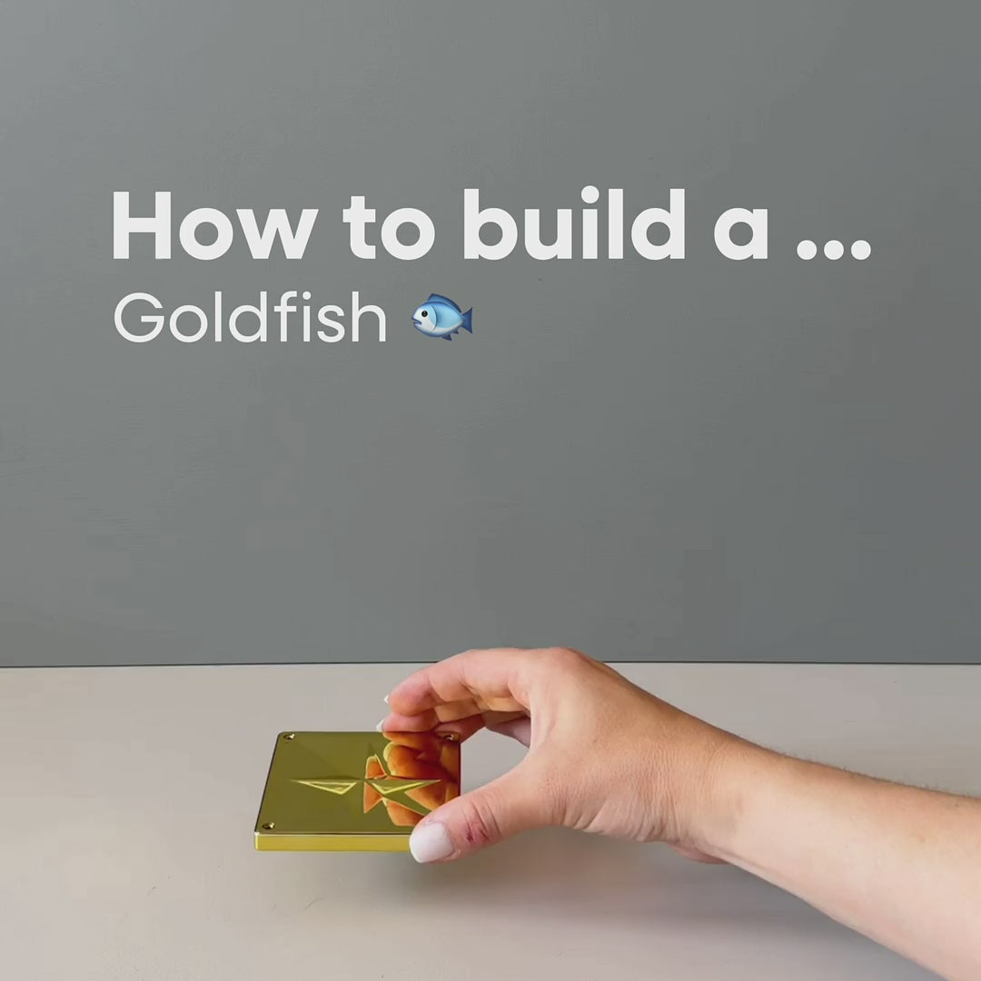 Coblo Gold - 20 Stück